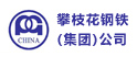 攀枝花钢铁（团体）公司